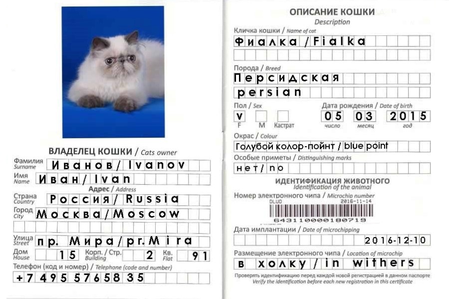 Пример заполнения ветеринарного паспорта